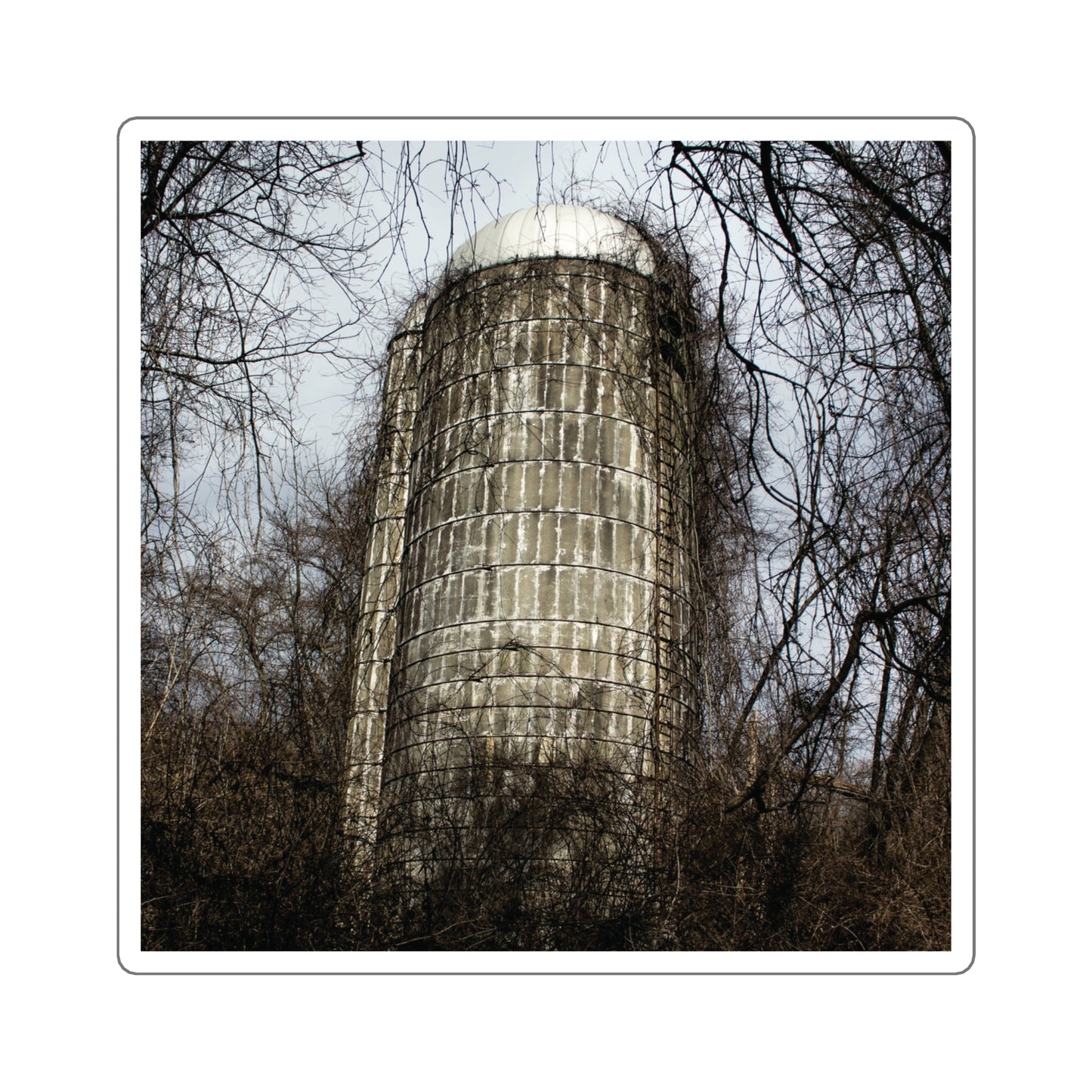 Abandoned & Overgrown Silo Photography - Square Stickers