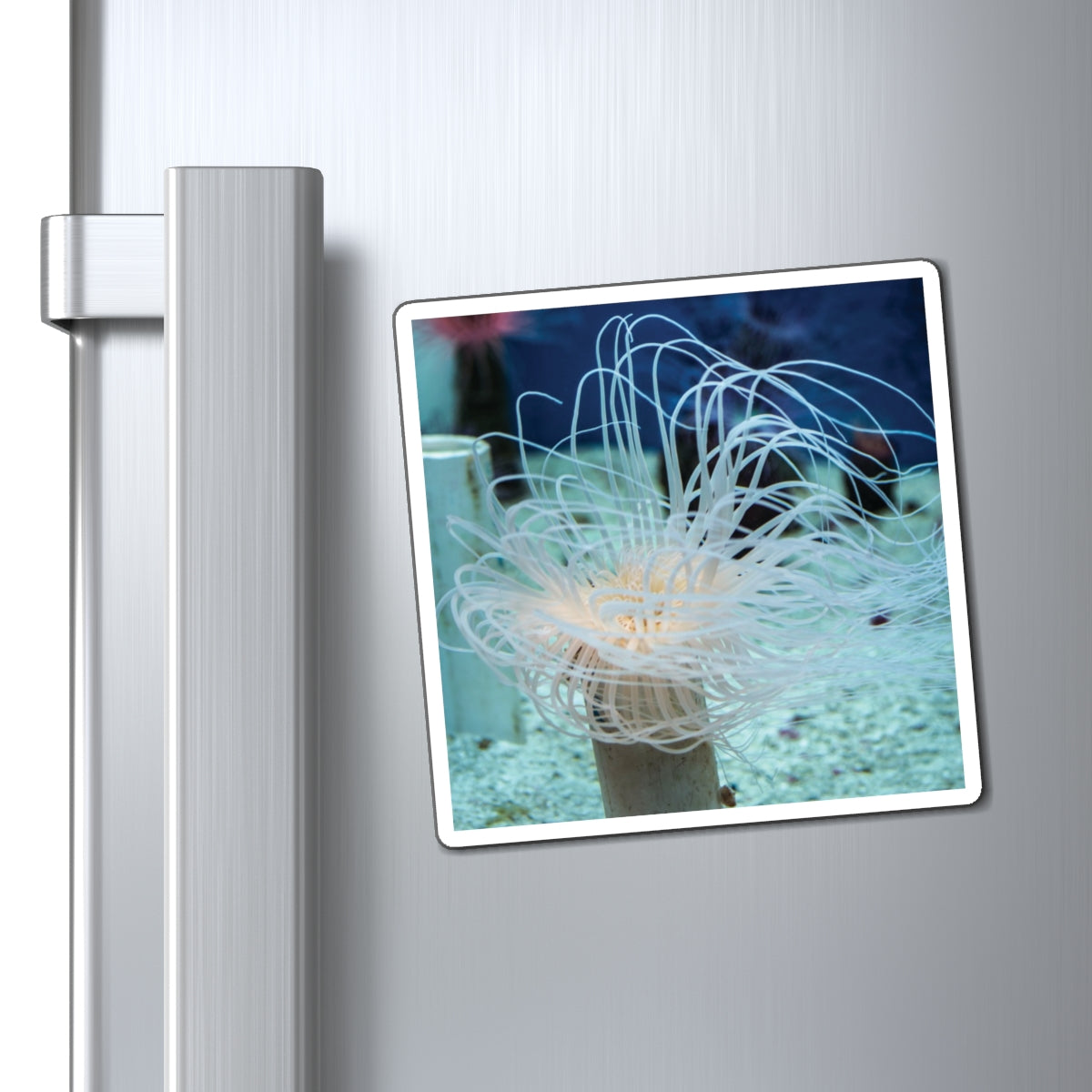 Colorful Sea Anemones Under Water Photography - Magnets