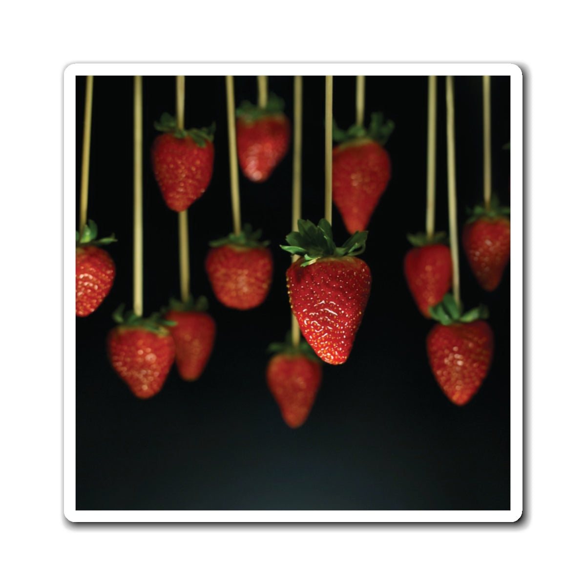 Hanging Strawberries Galore Food Photography - Magnets