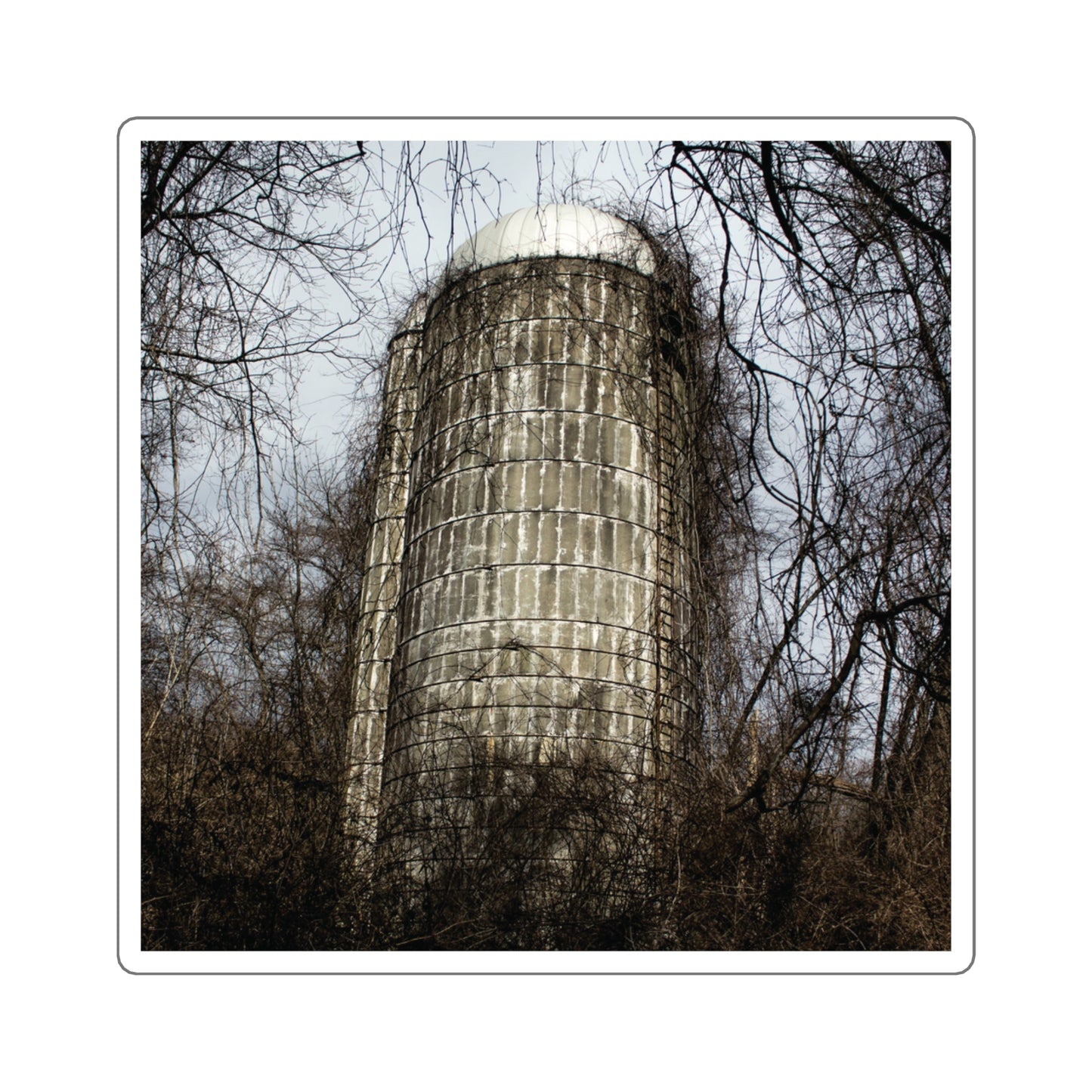 Abandoned & Overgrown Silo Photography - Square Stickers