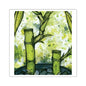 Bright Bamboo Watercolor Painting - Square Stickers