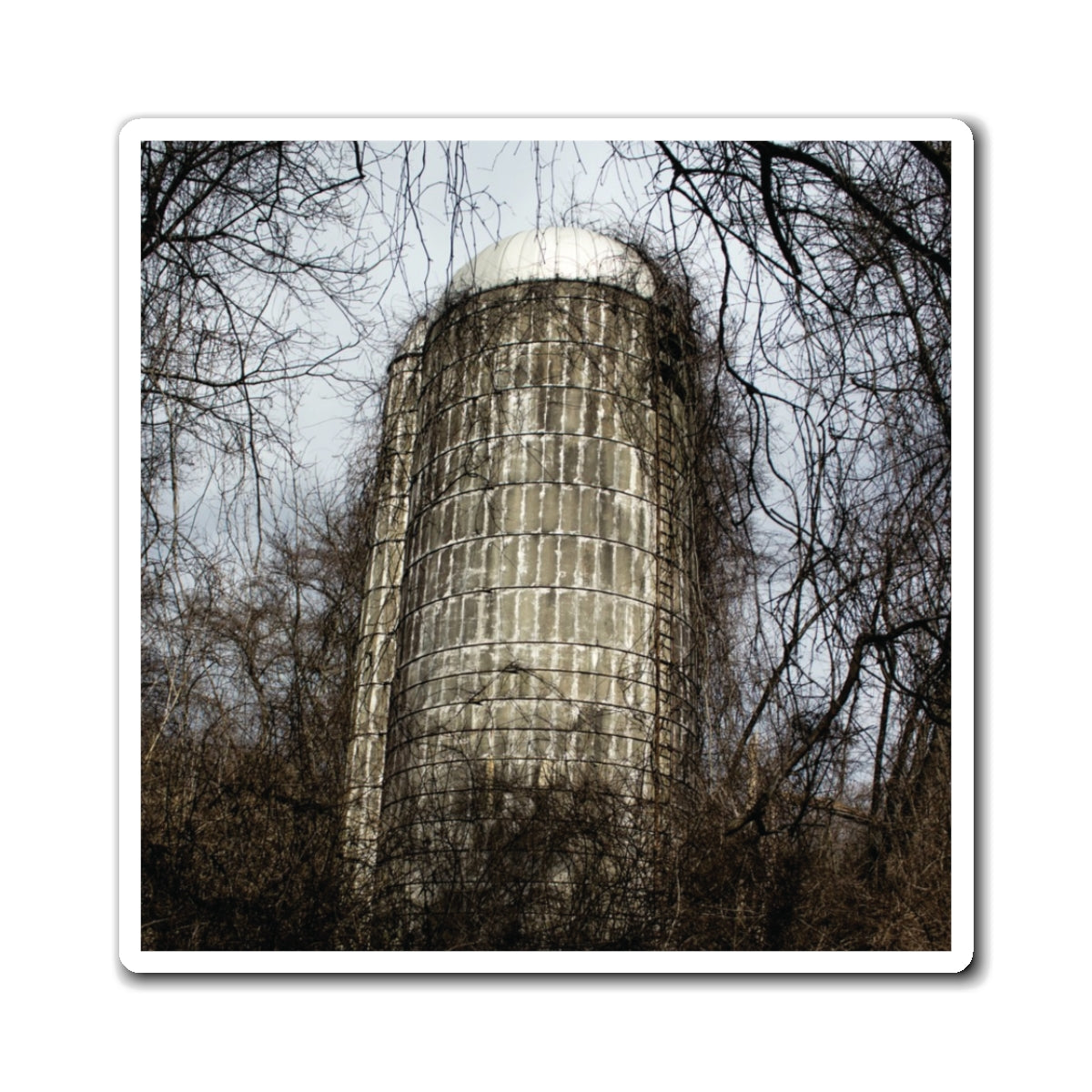 Abandoned & Overgrown Silo Photography - Magnets