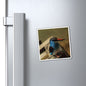 Perching Blue Kingfisher Photography - Bird Nerd Magnets